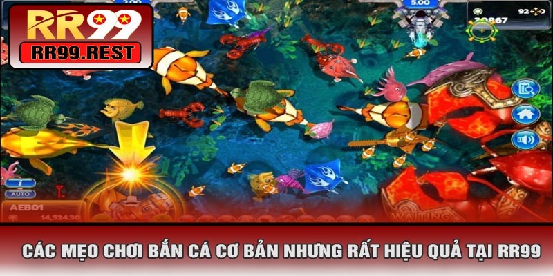 Các Mẹo Chơi Bắn Cá Cơ Bản Nhưng Rất Hiệu Quả Tại RR99