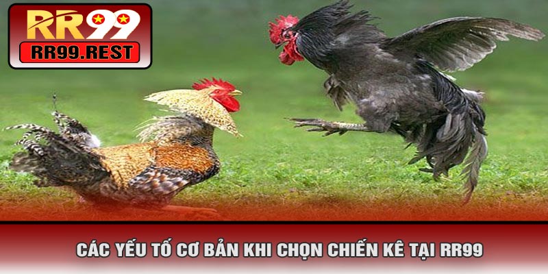 Các Yếu Tố Cơ Bản Khi Chọn Chiến Kê Tại RR99