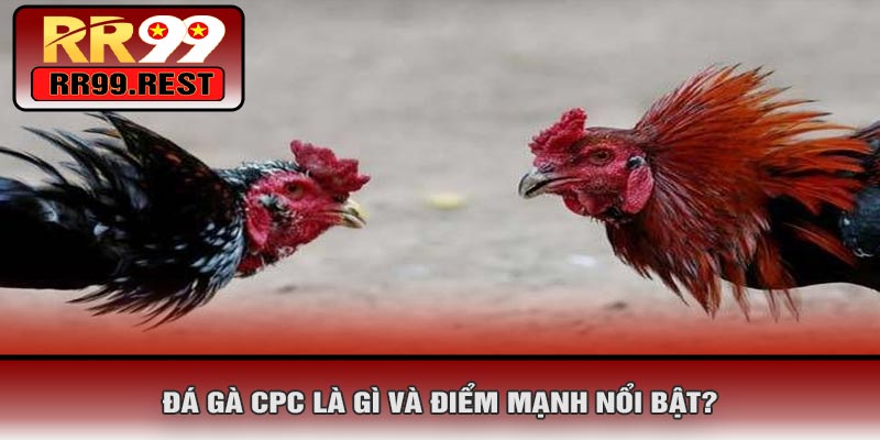 Đá Gà CPC Là Gì Và Điểm Mạnh Nổi Bật?