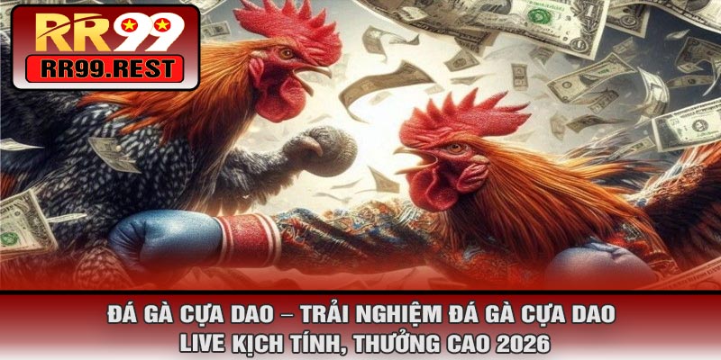 Đá Gà Cựa Dao – Trải Nghiệm Đá Gà Cựa Dao Live Kịch Tính, Thưởng Cao 2026