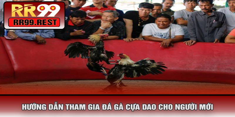 Hướng Dẫn Tham Gia Đá Gà Cựa Dao Cho Người Mới