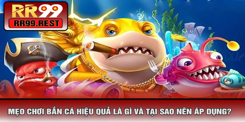 Mẹo Chơi Bắn Cá Hiệu Quả Là Gì Và Tại Sao Nên Áp Dụng?