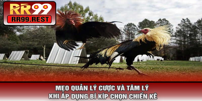 Mẹo Quản Lý Cược Và Tâm Lý Khi Áp Dụng Bí Kíp Chọn Chiến Kê