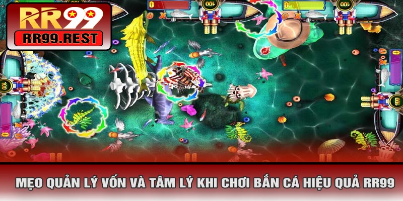 Mẹo Quản Lý Vốn Và Tâm Lý Khi Chơi Bắn Cá Hiệu Quả RR99