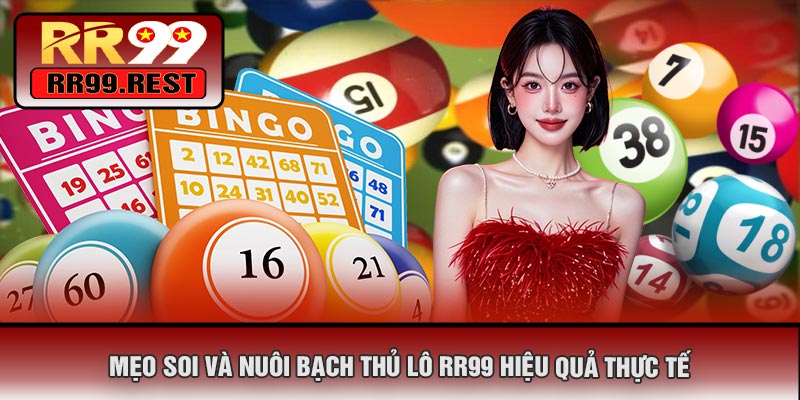 Mẹo Soi Và Nuôi Bạch Thủ Lô RR99 Hiệu Quả Thực Tế