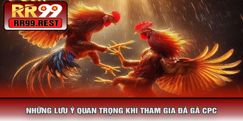Những Lưu Ý Quan Trọng Khi Tham Gia Đá Gà CPC