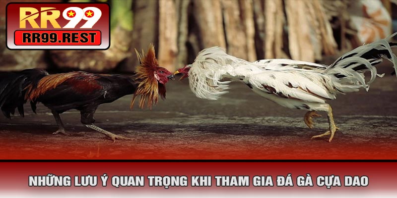Những Lưu Ý Quan Trọng Khi Tham Gia Đá Gà Cựa Dao
